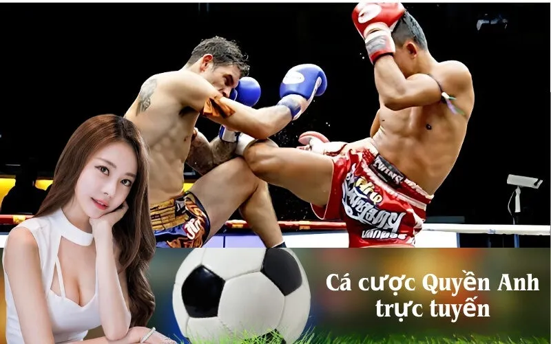 Cá cược Quyền Anh trực tuyến