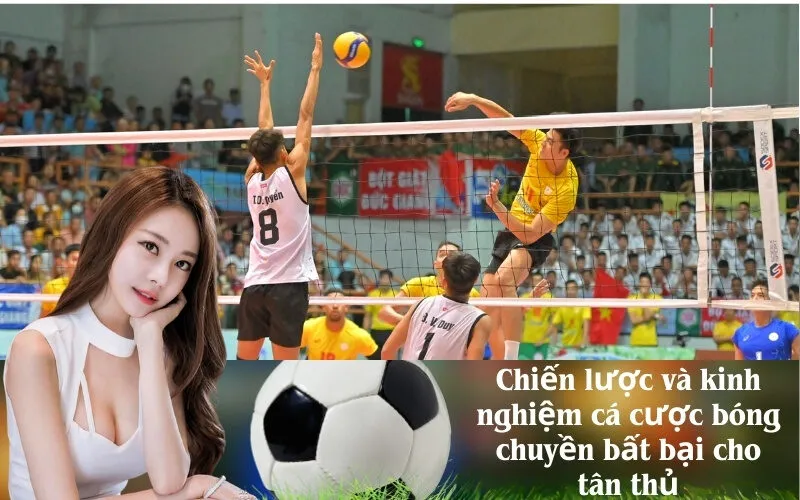 Chiến lược và kinh nghiệm cá cược bóng chuyền bất bại cho tân thủ