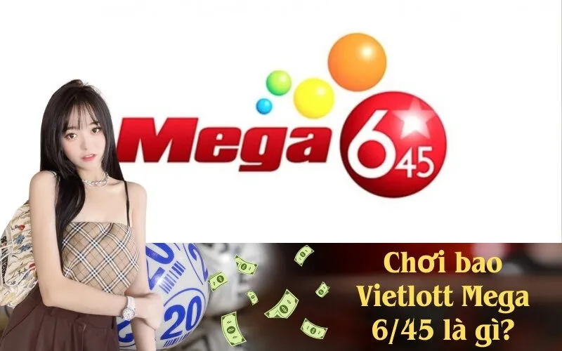 Chơi bao Vietlott Mega 645 là gì