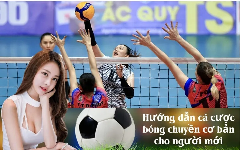 Hướng dẫn cá cược bóng chuyền cơ bản cho người mới